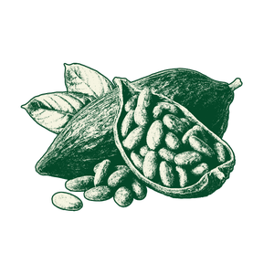Raw Peruvian Cacao | Sero's View Master Ingredient | Supports serotonin production and emotional clarity, offering a gentle mood lift, heart-opening calm, and focused alertness without overstimulation.