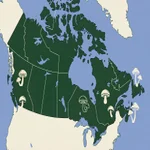 Canada Mushroom Map