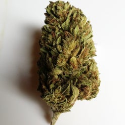 Golden haze