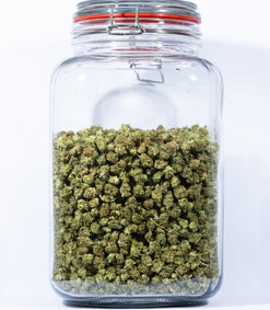 Donkey Butter Popcorn Strain (AA) - 28 Grams