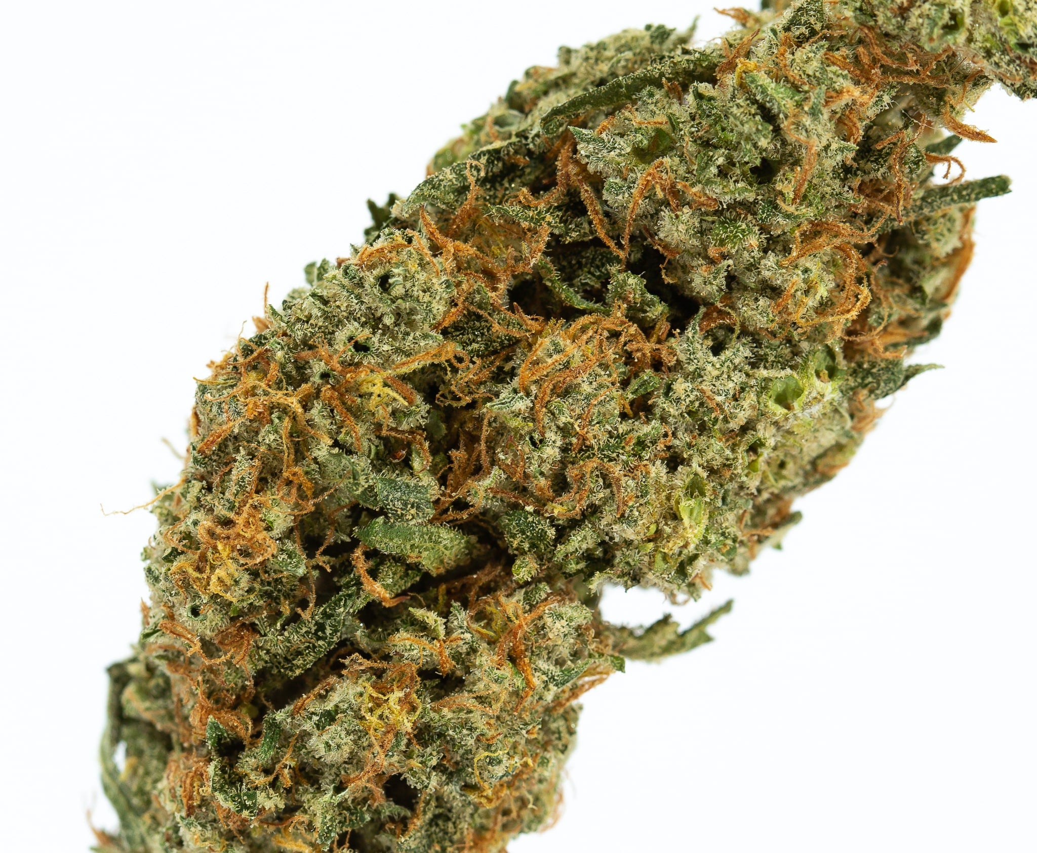 BUBBA-COOKIES-2.jpg