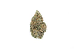 Trinity Strain