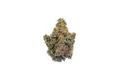 Jedi Kush Strain
