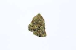 Green Poison Strain