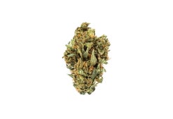 Ghost Train Haze Herb