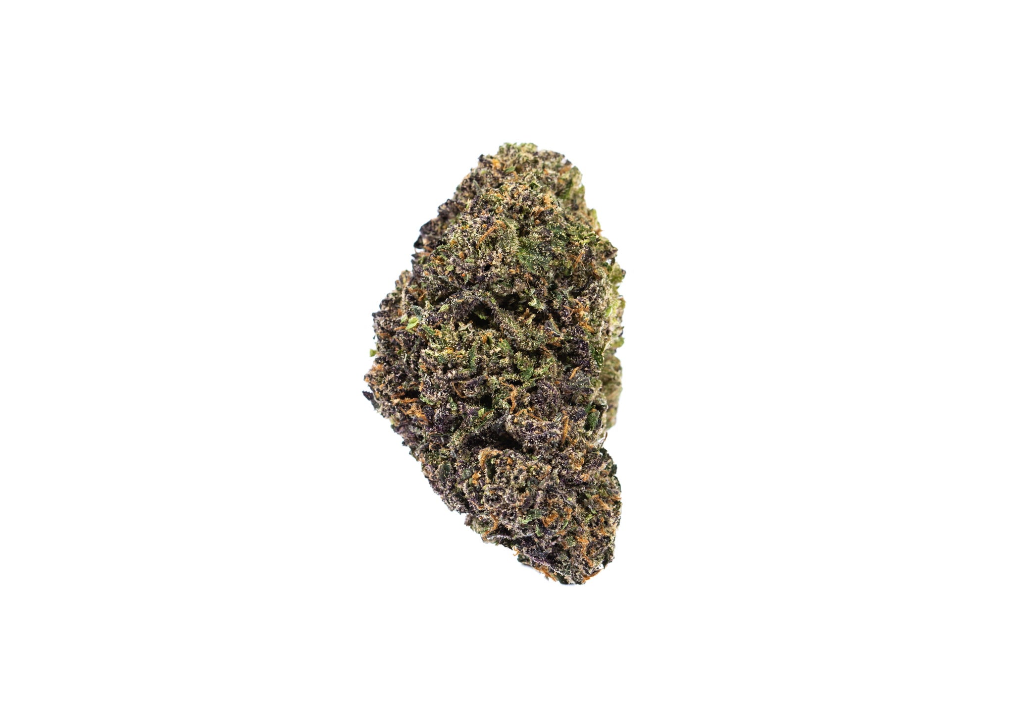 Hybrid strain