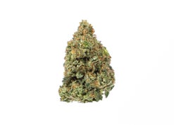 Pink Champagne (AAAA) strain