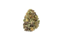 Pink Lady Strain