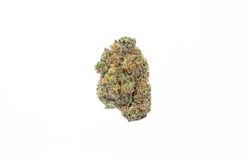 Purple Passion Strain