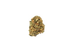 Citrique (AA) strain