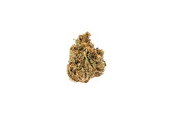 NY Cheese (AA) strain