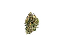 Afgooey strain (AAAA+)