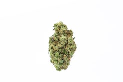 Zkittlez Strain (AA+)