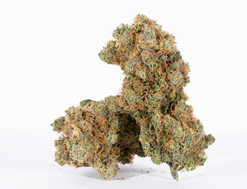Tokyo Drift Strain (AAAA+)