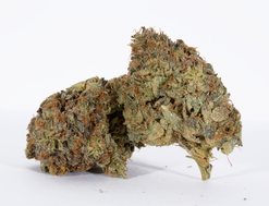 Chewbacca x Diesel Strain (AAAA)