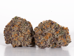 Delicata Grapes Strain (AAAA+)