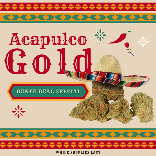 Acapulco Gold Strain