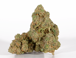 Northern Lights Strain (AAA)