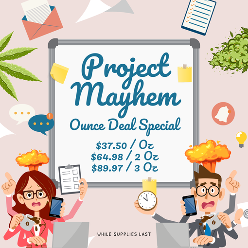 Project Mayhem Strain (Promo)