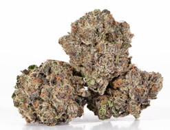 Blue Face Strain (AAAAA)