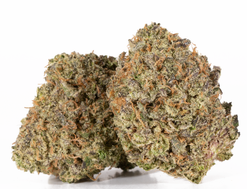 Khalifa Mints Strain (AAAA+)