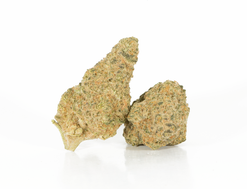 Cronuts Strain (AA)
