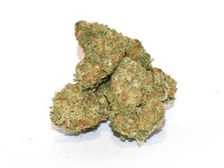 Sunset Sherbet Strain