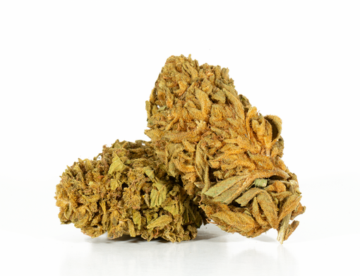 Budget Terps - Odyssey Strain