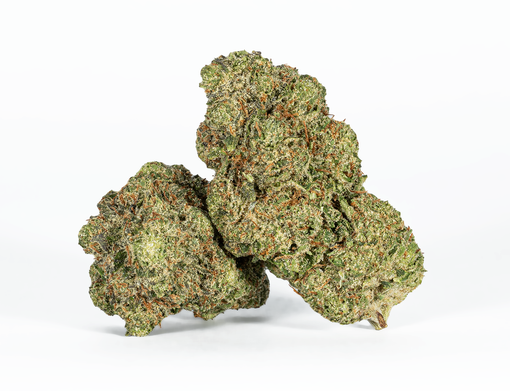 Black Tuna Strain
