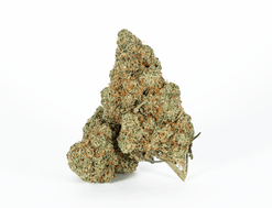 Guava Z Strain
