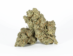 Astral Herbs - Jupiter Strain