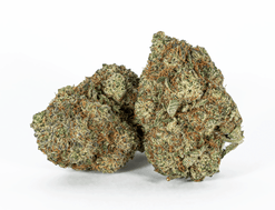 Astral Herbs - Lucky Charms Strain