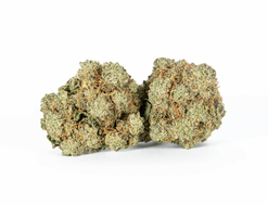 Wedding Cake Strain