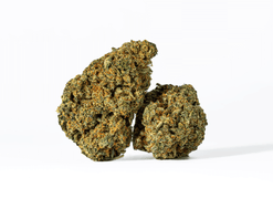 Orange Mints Strain