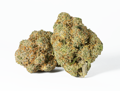 Silky Johnson Strain