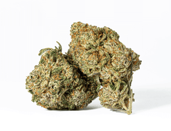 Astral Herbs - Zkittlez Strain