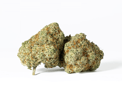 Crème Brule Strain