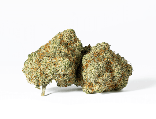 Crème Brule Strain