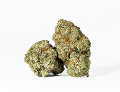 Waffle Cone Strain