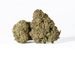 Astral Herbs - Meat Breath Strain