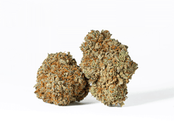 Astral Herbs - Wookies Strain