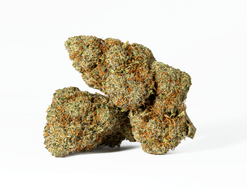 Astral Herbs - Lemonberry Strain