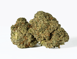Astral Herbs - Banana Cream Strain