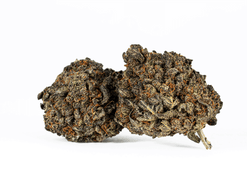 Sticky Grapes Strain