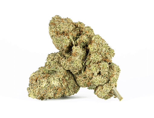 Extreme Cream Strain