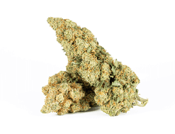 Astral Herbs - Gorilla Bomb Strain