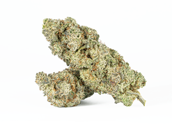 Slurricane Strain
