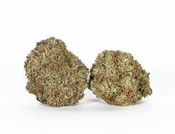 Happy Hour Strain