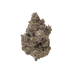 Albatross - Super Secret Strain