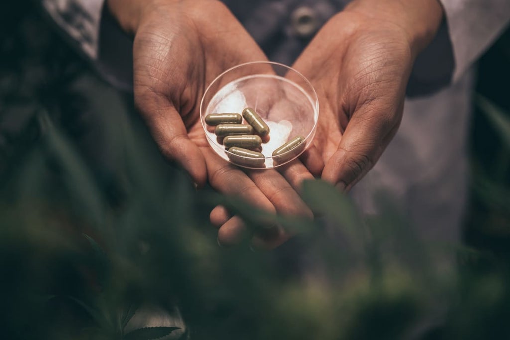 A hand holding herbal cannabis capsules